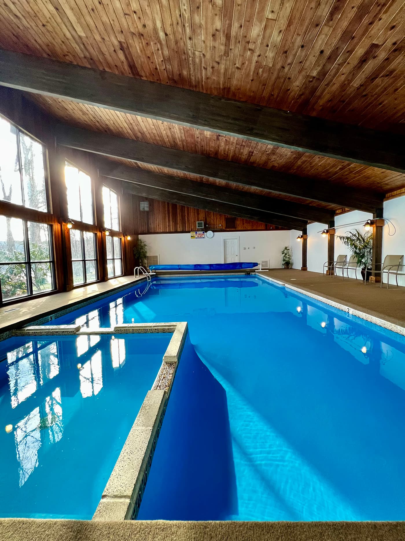 Indoor swimming pool with large windows and wooden ceiling.