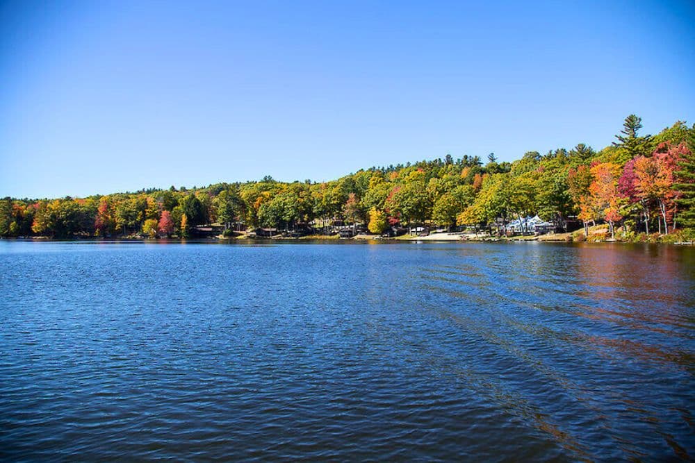 A calm lake surrounded by colorful autumn trees under a clear blue sky.