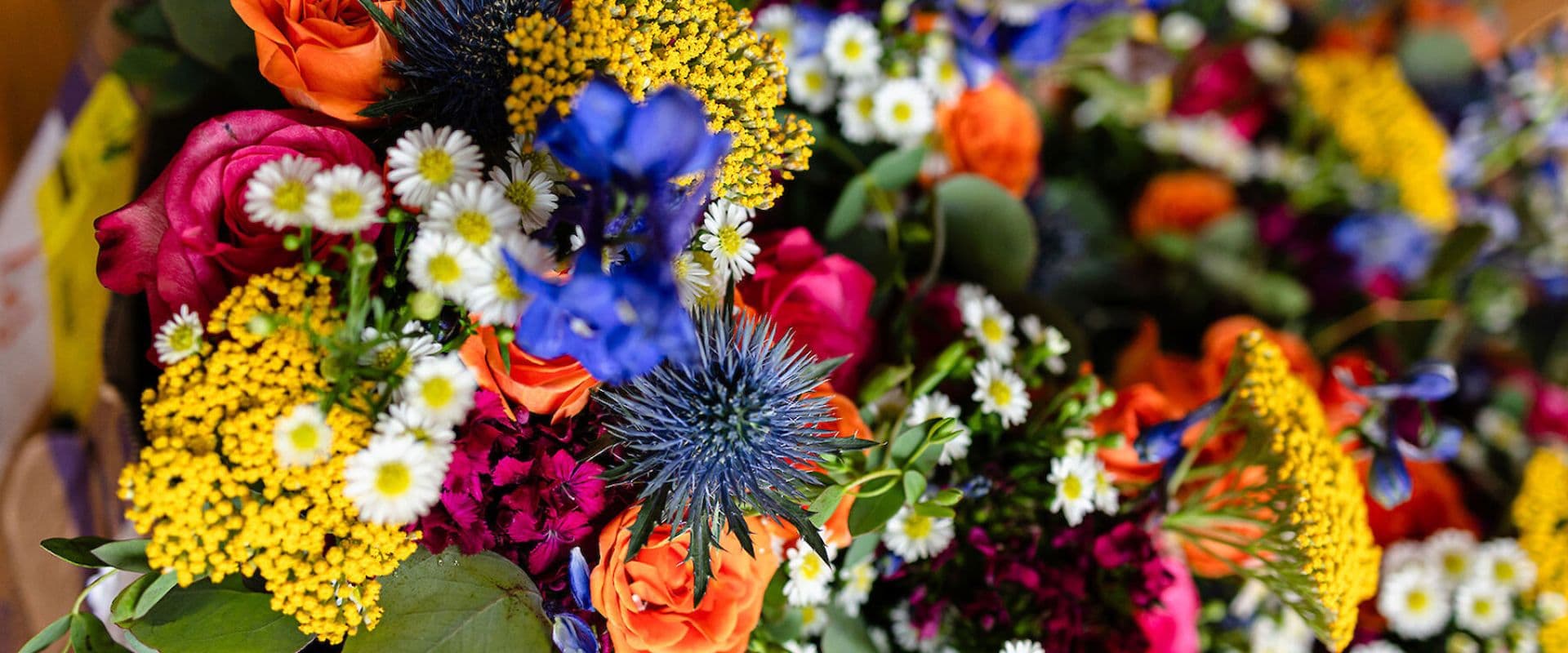 A vibrant arrangement of assorted flowers in various colors.