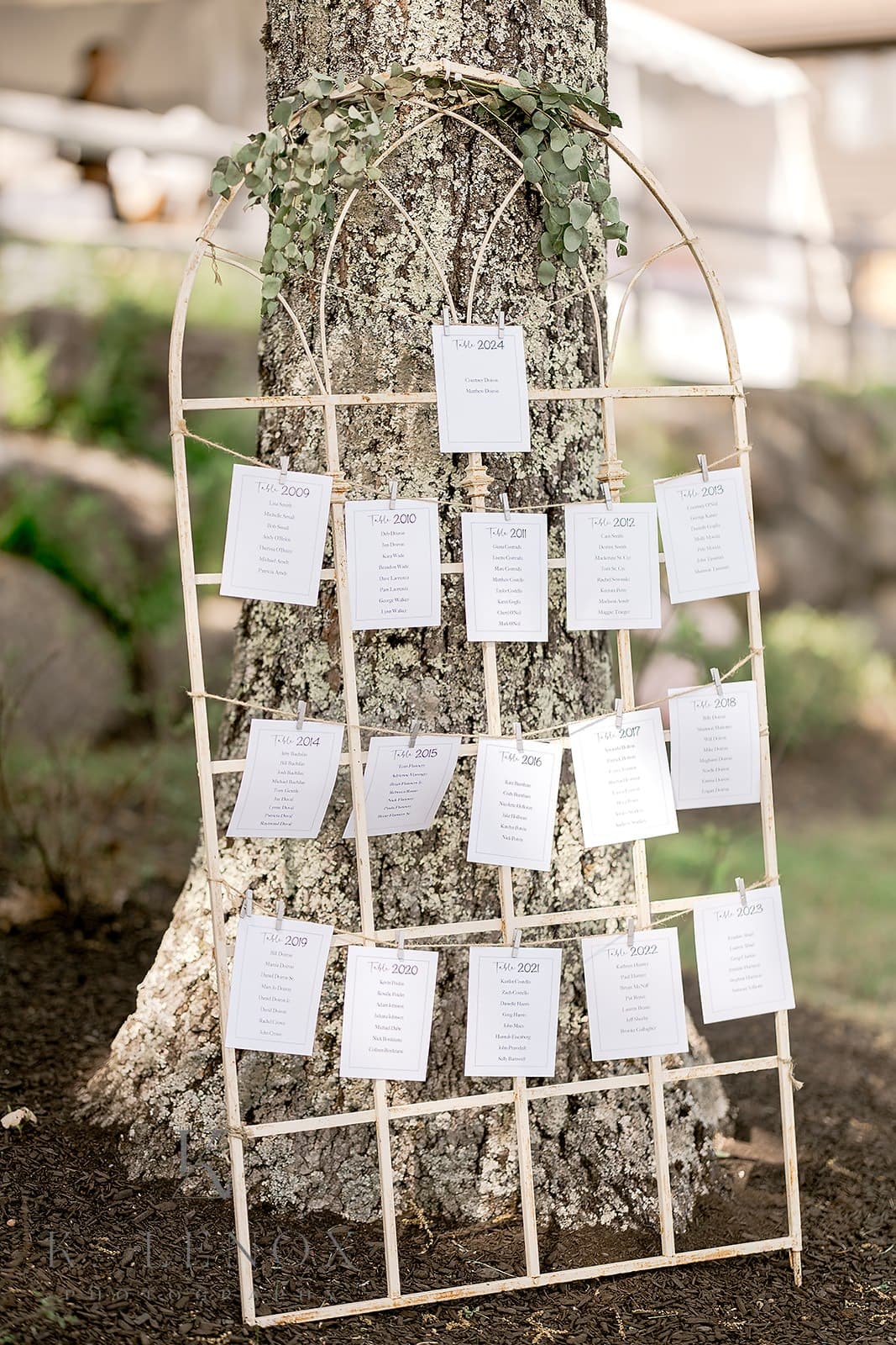 A decorative chart displaying names and years attached to a tree, likely for an event.