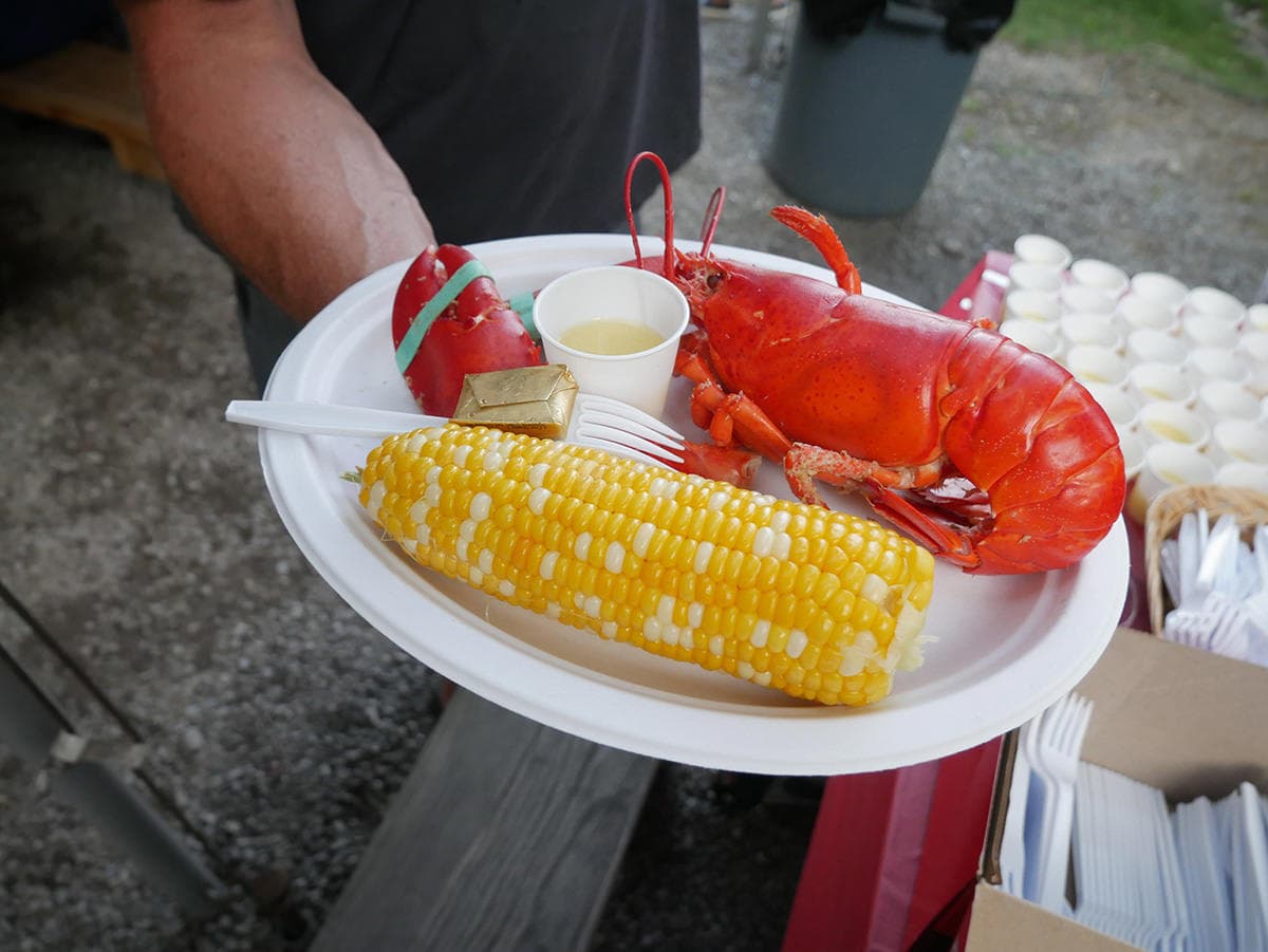 A plate featuring a cooked lobster, corn on the cob, a small cup of butter, and a plastic fork.